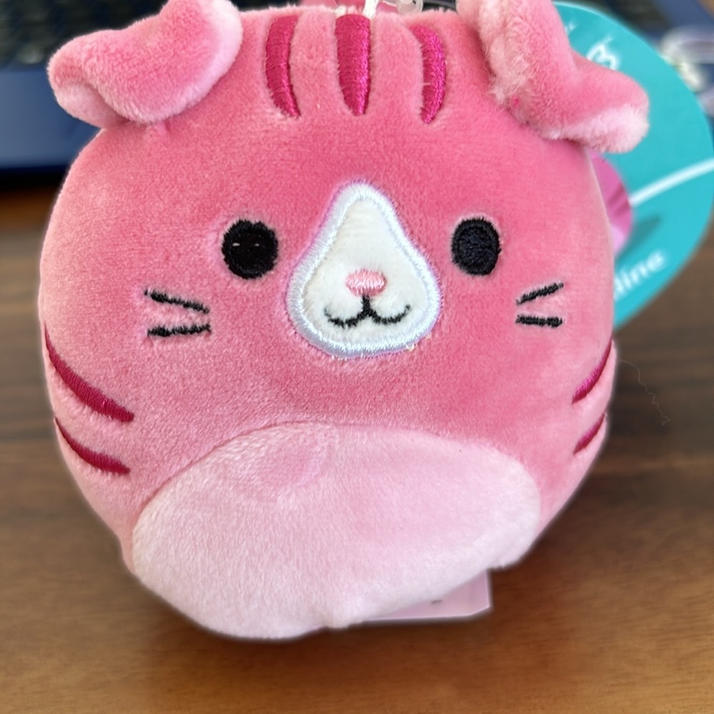 NWT💜squishmallows keychain Kitty